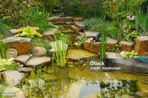 Foto de Belo Lago e mais fotos de stock de Jardim Aquático - Jardim Aquático, Ajardinado, Arbusto