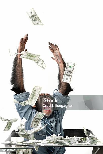 Pieniądze Spadają Na Męską Szympans - zdjęcia stockowe i więcej obrazów Waluta - Waluta, Małpa, Małpa człekokształtna