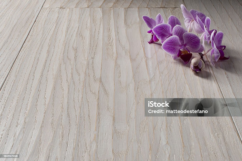 orchid - Photo de Baignoire libre de droits