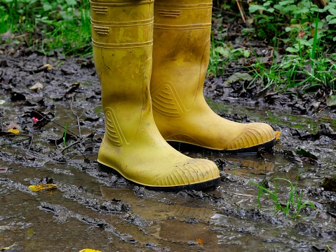 Two yellow rubber boots in the mud