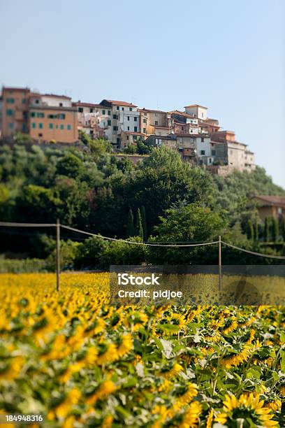 Cidade Medieval De Santa Maria Um Monte Toscana Itália - Fotografias de stock e mais imagens de Campo agrícola