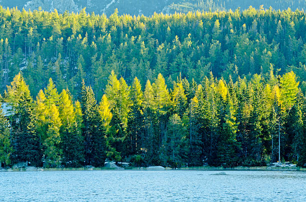 Strbske Pleso - Mountain lake in morning Strbske Pleso - Mountain lake pleso stock pictures, royalty-free photos & images