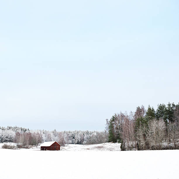 istock Snow in Sweden 184948527