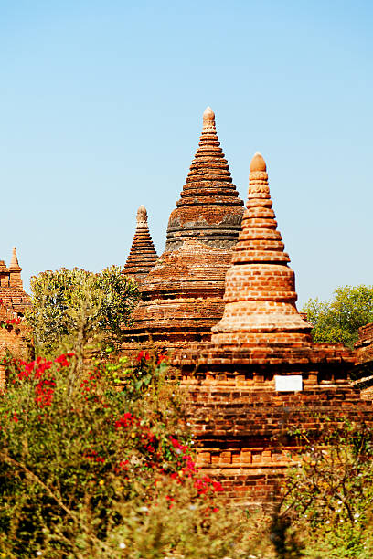 앤시언트 탑이 바간, 미얀마에 - vibrant color front view bagan myanmar 뉴스 사진 이미지