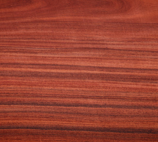 istock Brazilian rosewood 184948777