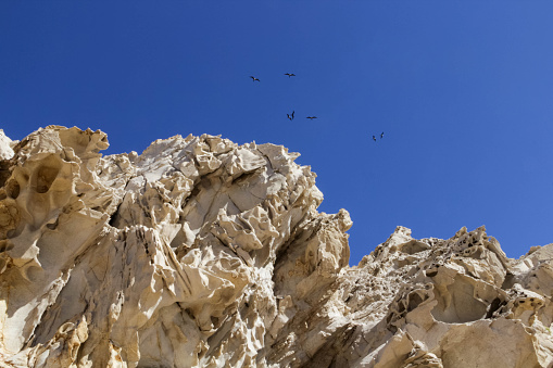 Part of a rock of bizarre shape against a blue sky with birds.Cabo San Lucas, Mexico.