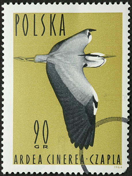 istock Ardea cinerea, gray heron on a stamp 184949123