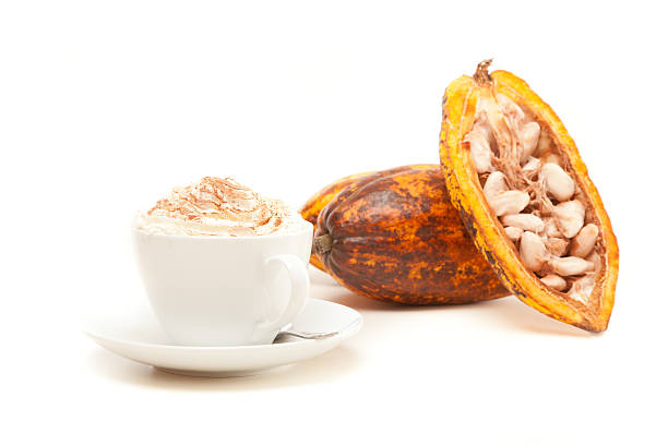cup of hot chocolate with cocoa pods on white