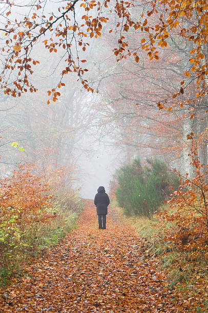 istock Figure in misty woodland 184949829