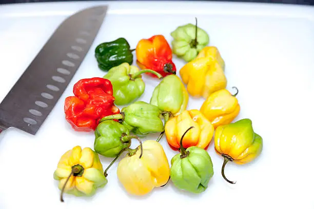 Multi-colored habanero peppers.