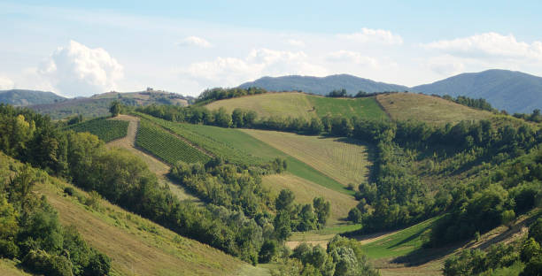 Hills Italians Hills - Piacenza parma italy stock pictures, royalty-free photos & images