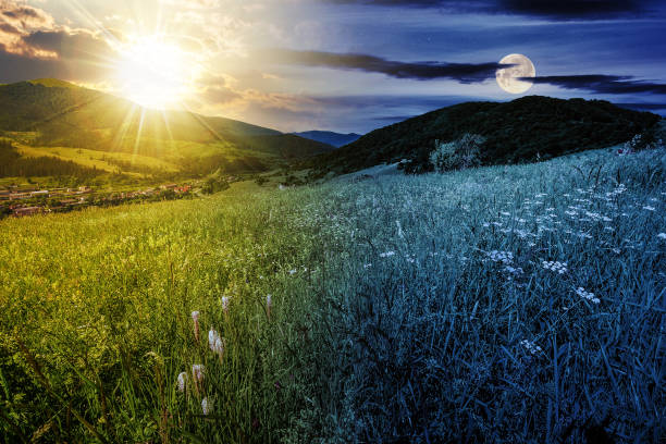 istock mountainous rural landscape with pasture 1849505157