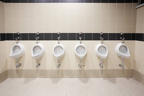 istock Interior of modern public restroom 184951053