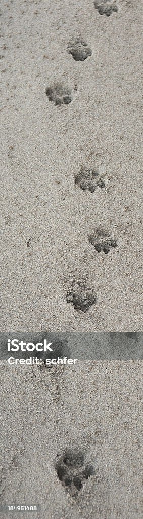 Pawprint - Foto de stock de Cão royalty-free