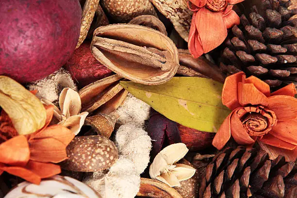 A closeup view of potpourri.