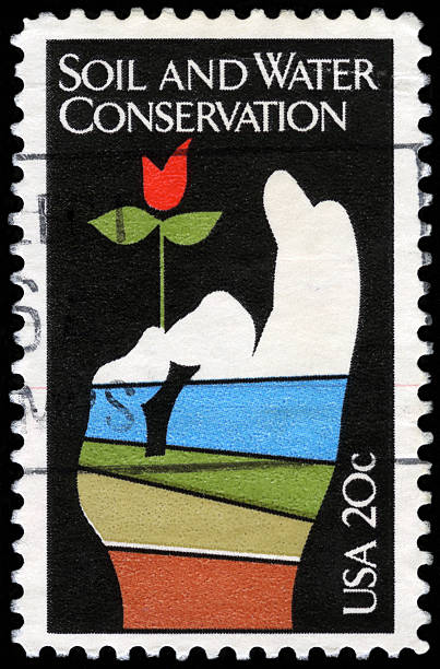 istock United States postage stamp 184951639