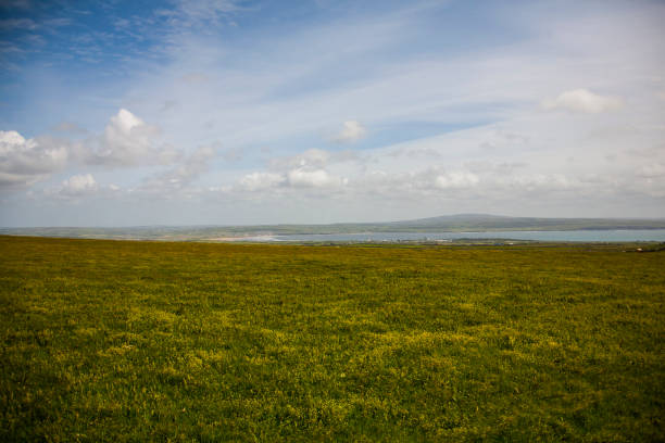 istock Spring landscape in Cliffs of Moher (Aillte An Mhothair), Ireland 1849520450