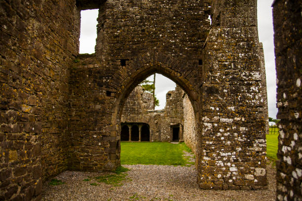 istock Spring in Bective Abbey (Mainistir Bheigti), Ireland 1849522032
