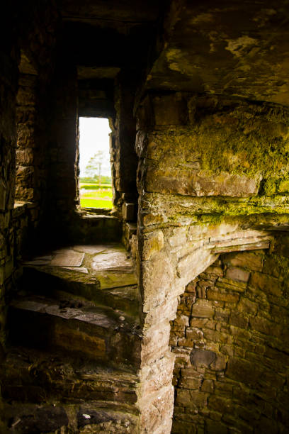 istock Spring in Bective Abbey (Mainistir Bheigti), Ireland 1849522039