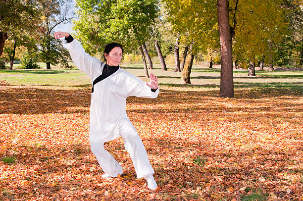 excert de kung fu-forma - excert imagens e fotografias de stock