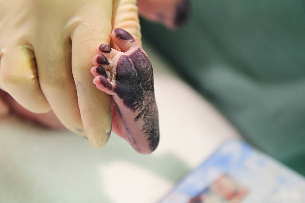 newborn baby feet in the incubator