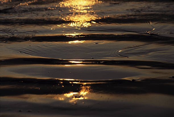istock Sunset on dark water ripples 184953927