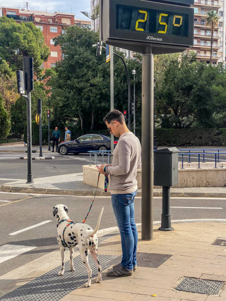 jovem verificando seu smartphone com um cachorro dálmata na rua - walking dog pets outdoors - fotografias e filmes do acervo