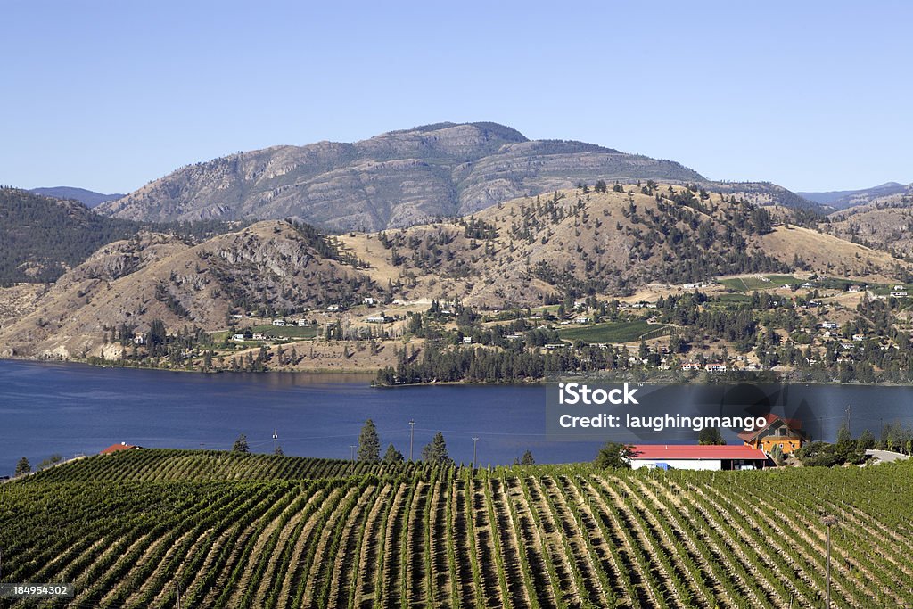 Vignobles de l'Okanagan - Photo de Penticton libre de droits