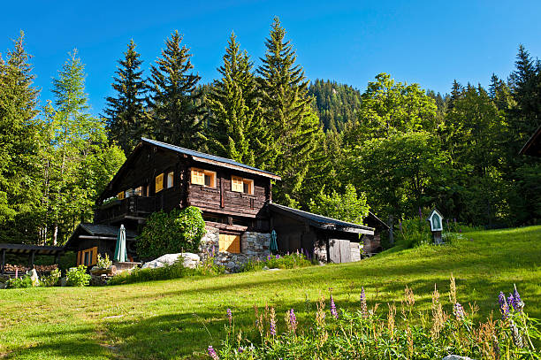 Picturesque Alpine chalet green summer mountain forest "Traditional Alpine chalet home in an idyllic rural setting surrounded by pine forest hills, green meadows and summer wildflowers under clear blue skies. ProPhoto RGB profile for maximum color fidelity and gamut." chalet stock pictures, royalty-free photos & images