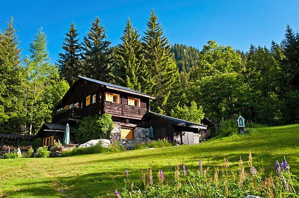 живописные альпийские горы лес зеленый летний коттедж - farmhouse the natural world meadow pasture стоковые фото и изображения