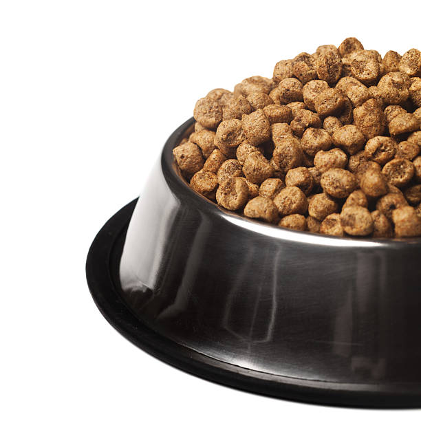 istock Dog food 184954387