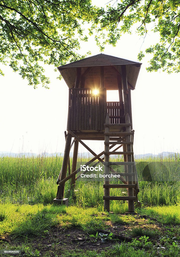 Hunter's Observation Point Hunter's observation point surrounded by spring trees. Backgrounds Stock Photo