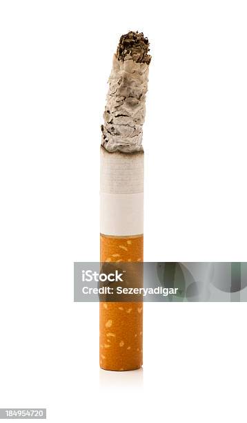 Queima De Cigarro - Fotografias de stock e mais imagens de Cigarro - Cigarro, Queimar, Fundo Branco