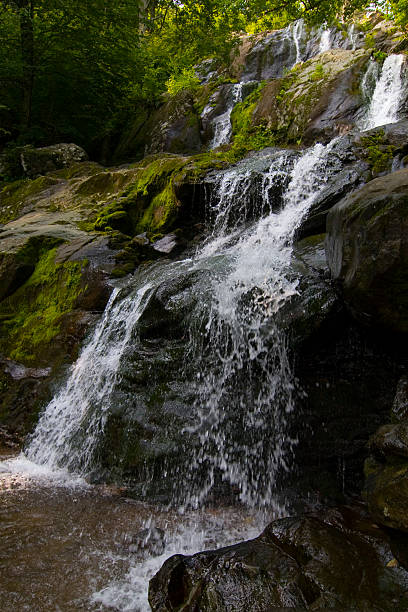 istock Dark hollow falls on Skyline drive, Shenandoah national park 184954932