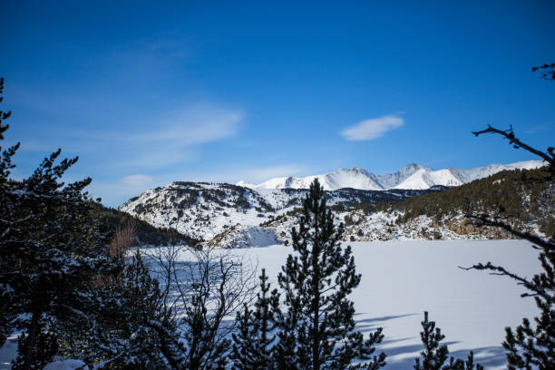 istock Winter in Capcir, Pyrenees, France 1849550061