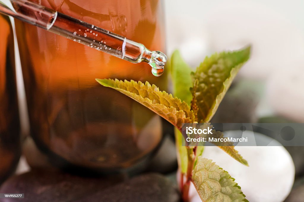 Nova vida no medicamento à base de plantas - Royalty-free Alimentação Saudável Foto de stock