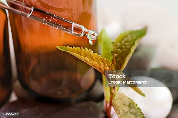 Nova Vida No Medicamento À Base De Plantas - Fotografias de stock e mais imagens de Alimentação Saudável - Alimentação Saudável, Beleza, Conceito