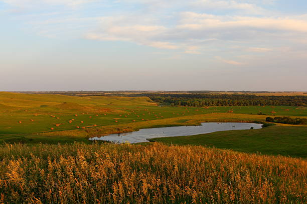 An idyllic farming landscape in Nebraska