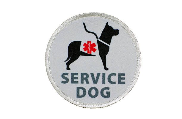 patch perro de servicio para personas con discapacidades - service dog fotografías e imágenes de stock