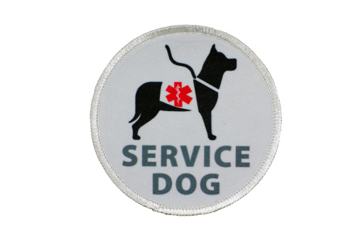 Isolated on white with clipping path.Patch depicting a service dog trained to aid the disabled.