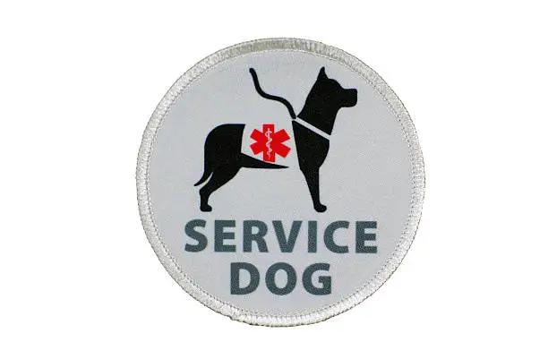 Photo of Service Dog for Disabled Patch