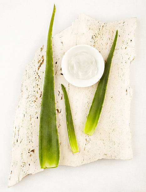 istock Spa still life with aloe vera and moisturizer 184956007