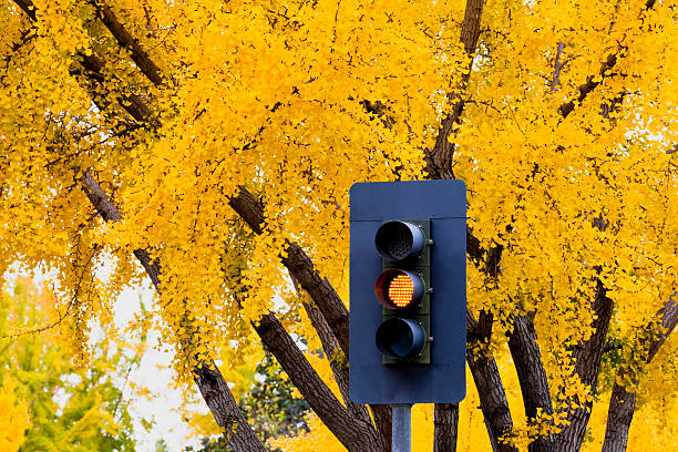 Giallo - foto stock