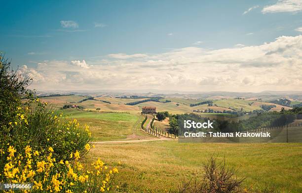 Toscana - Fotografie stock e altre immagini di Agricoltura - Agricoltura, Ambientazione esterna, Ampio