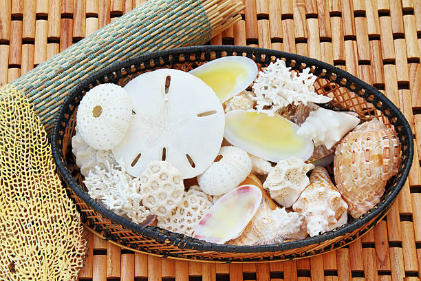 This is a studio still life shot with various seashells and coral pieces in a basket on a wood mat.