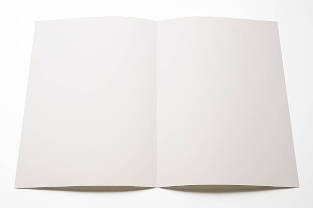 istock Isolated shot of blank brochure on white background 184956874