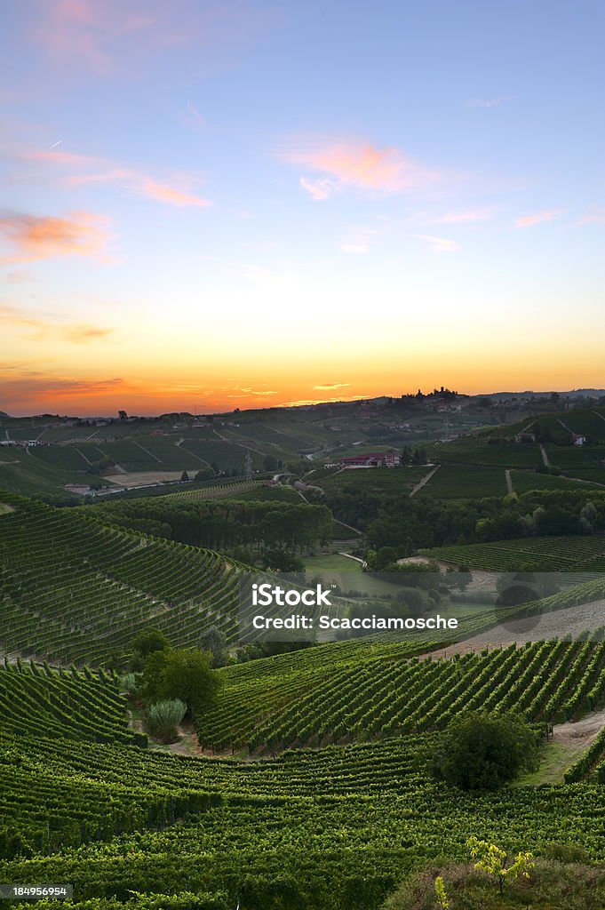 색상화 dawn over the vineyards - 로열티 프리 알바 스톡 사진