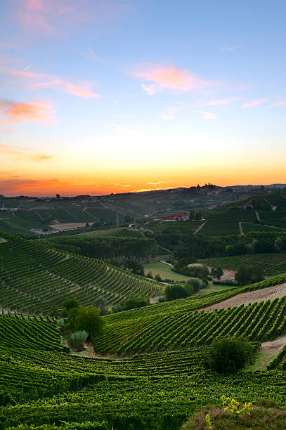 istock Colorful dawn over the vineyards 184956954