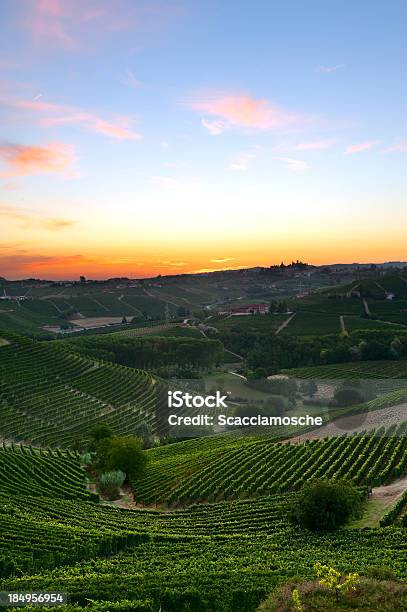 Foto de Colorido Amanhecer Sobre Os Vinhedos e mais fotos de stock de Alba - Alba, Itália, Agricultura