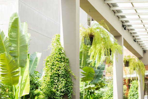 istock Green eco public space garden hallway building area with interior decorated with botany tree for saving energy refreshing cooling air and ozone. 1849569587